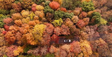 大自然的 调色盘