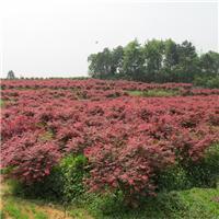 大冶市养殖相关地区